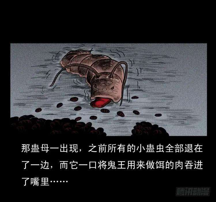 63.jpg