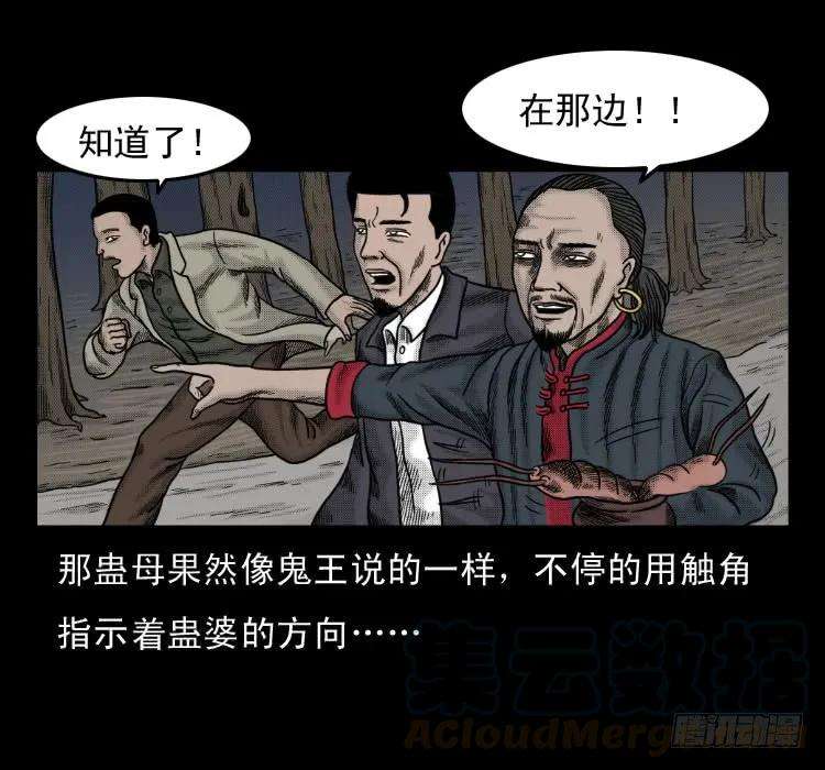 73.jpg