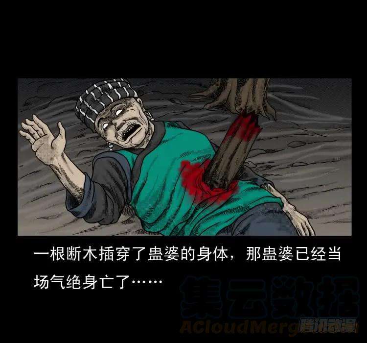 77.jpg