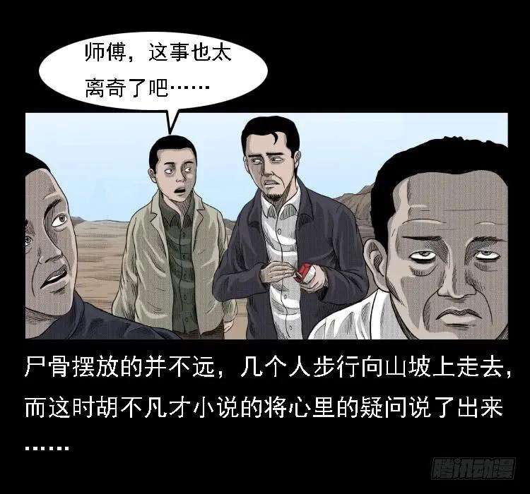 47.jpg
