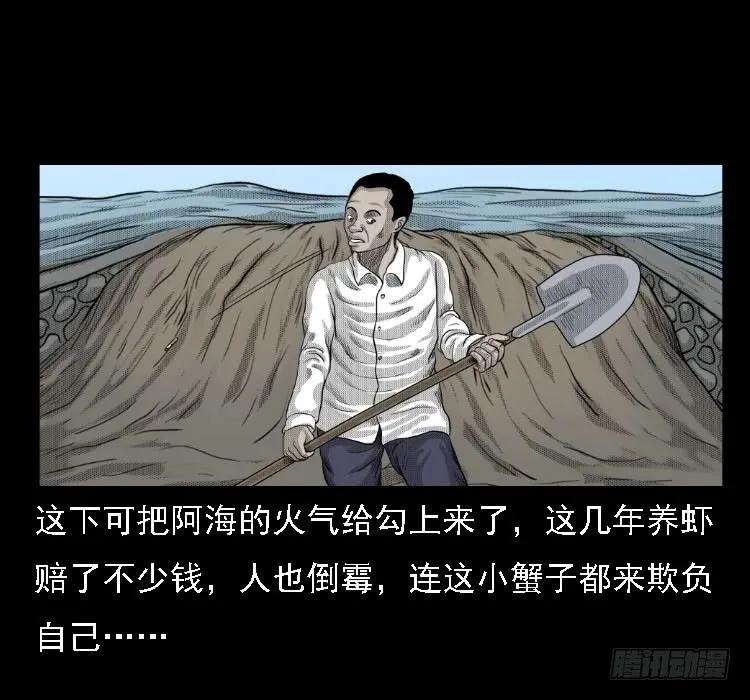 31.jpg