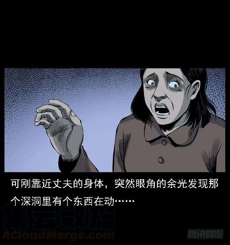 41.jpg