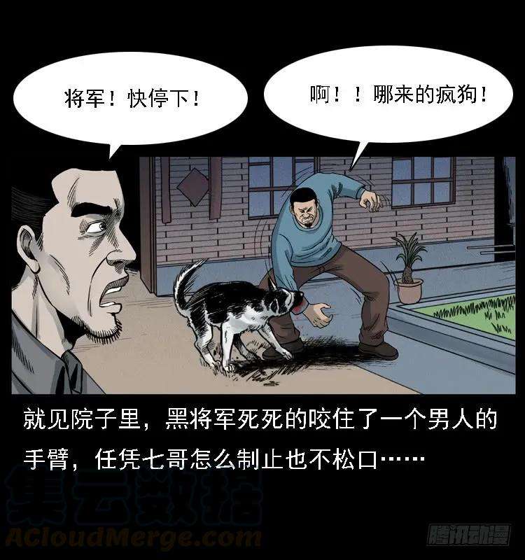 61.jpg