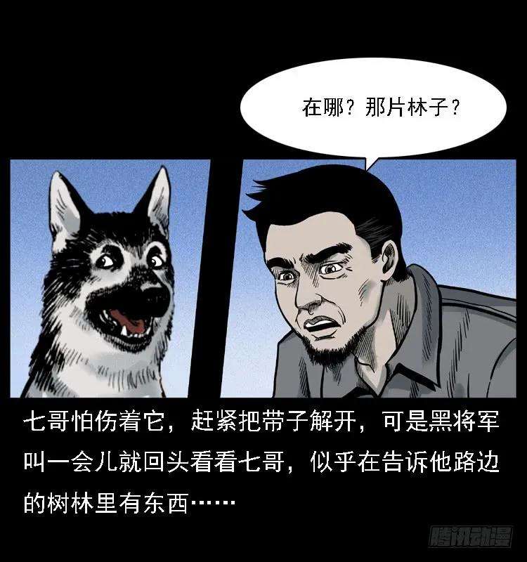30.jpg