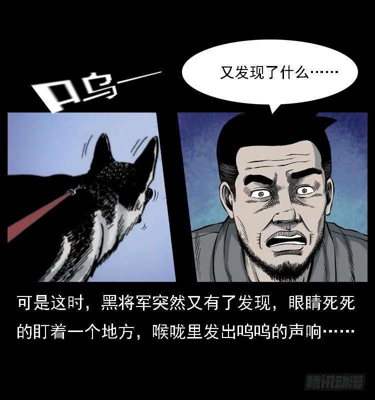 47.jpg