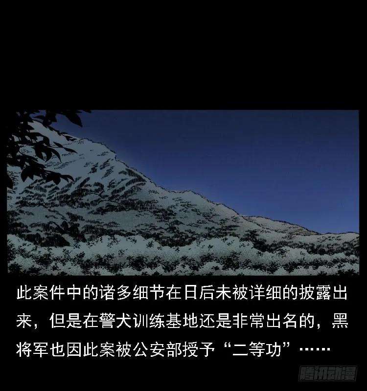 79.jpg