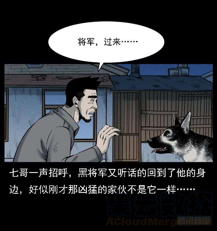 65.jpg