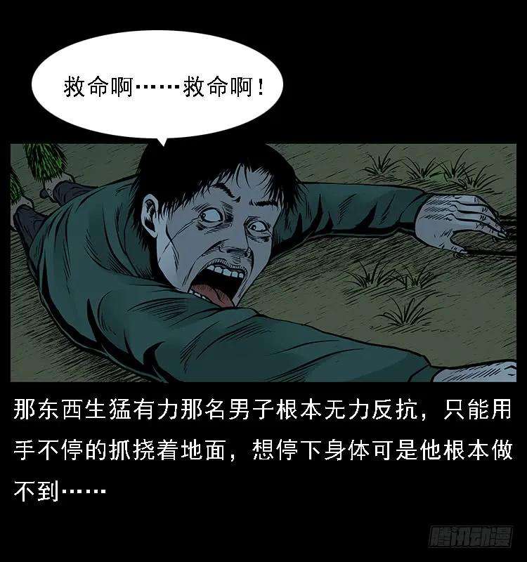 47.jpg