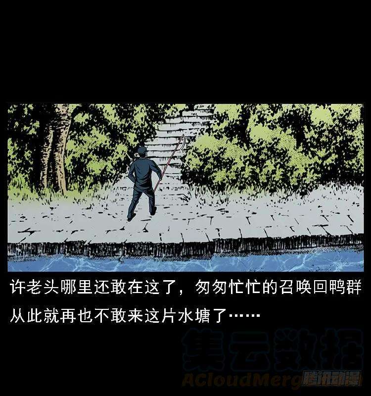 33.jpg