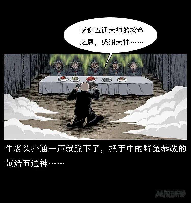 51.jpg