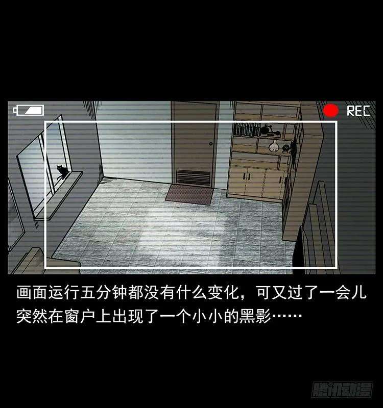 27.jpg