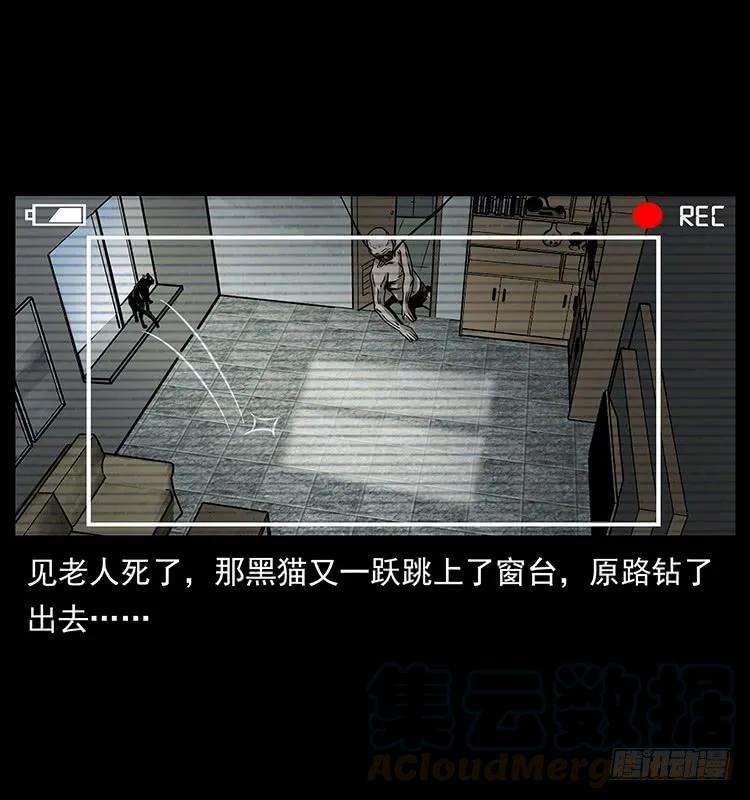 49.jpg