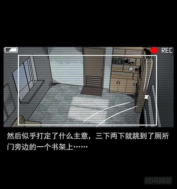 32.jpg