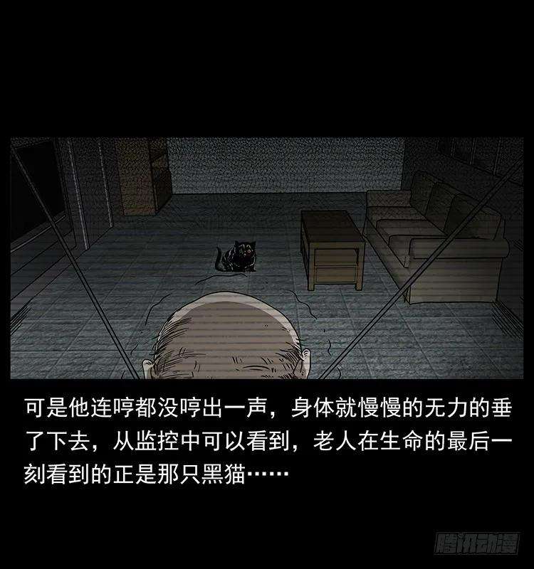 46.jpg