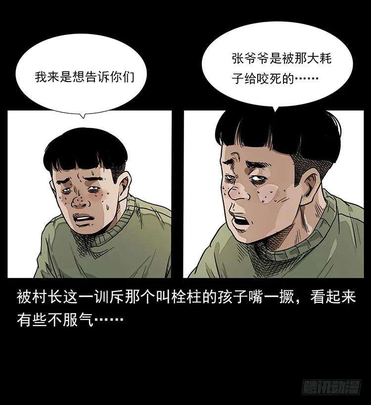 47.jpg