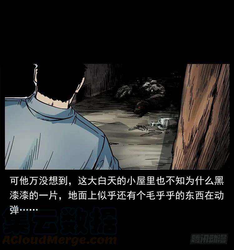 25.jpg