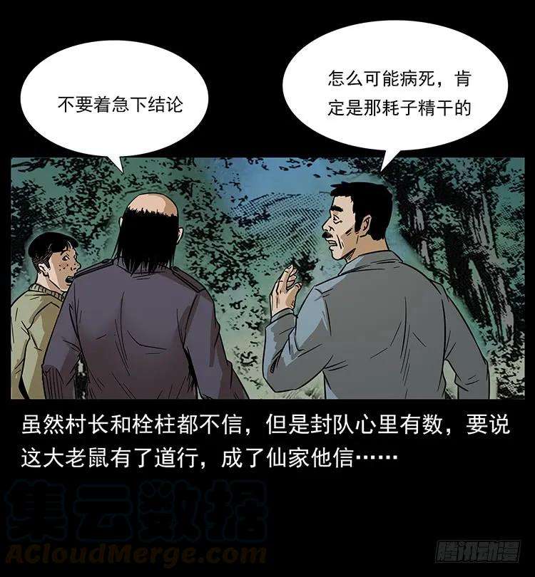 61.jpg