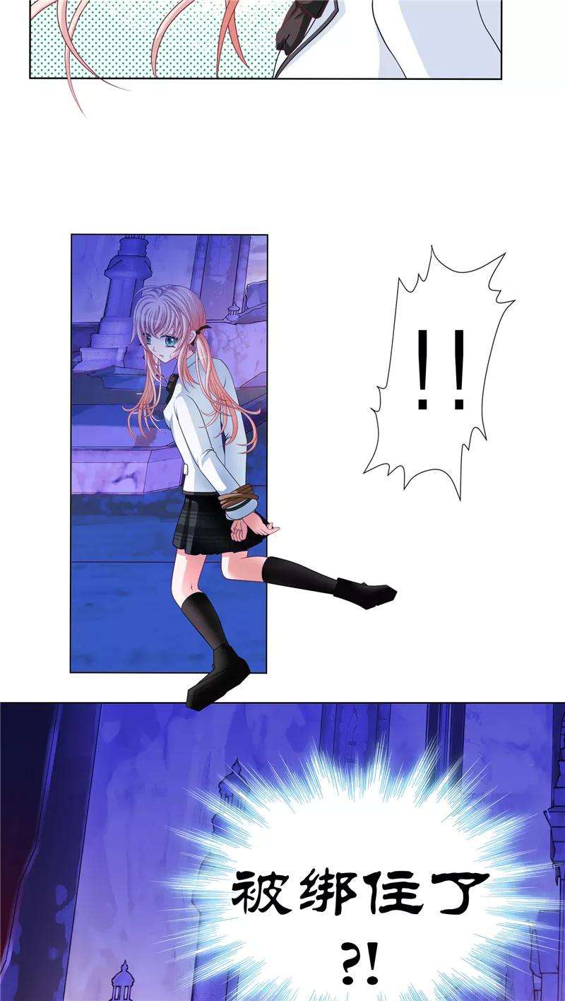 25.jpg