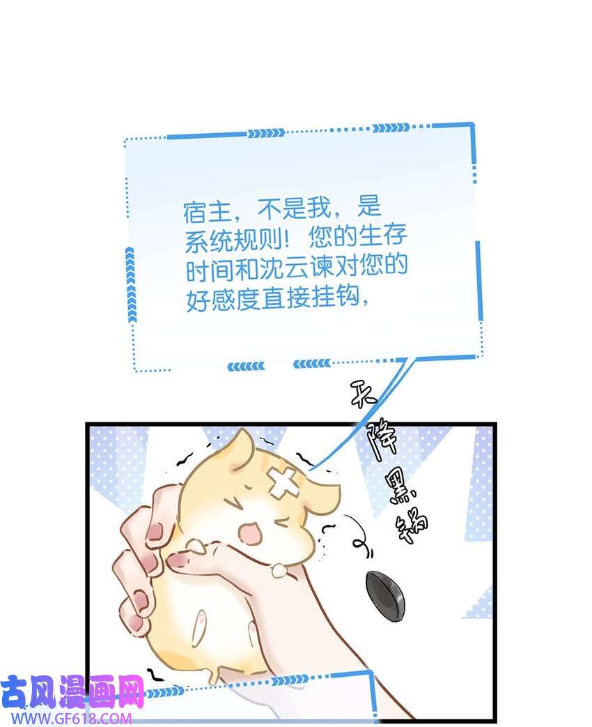 28.jpg