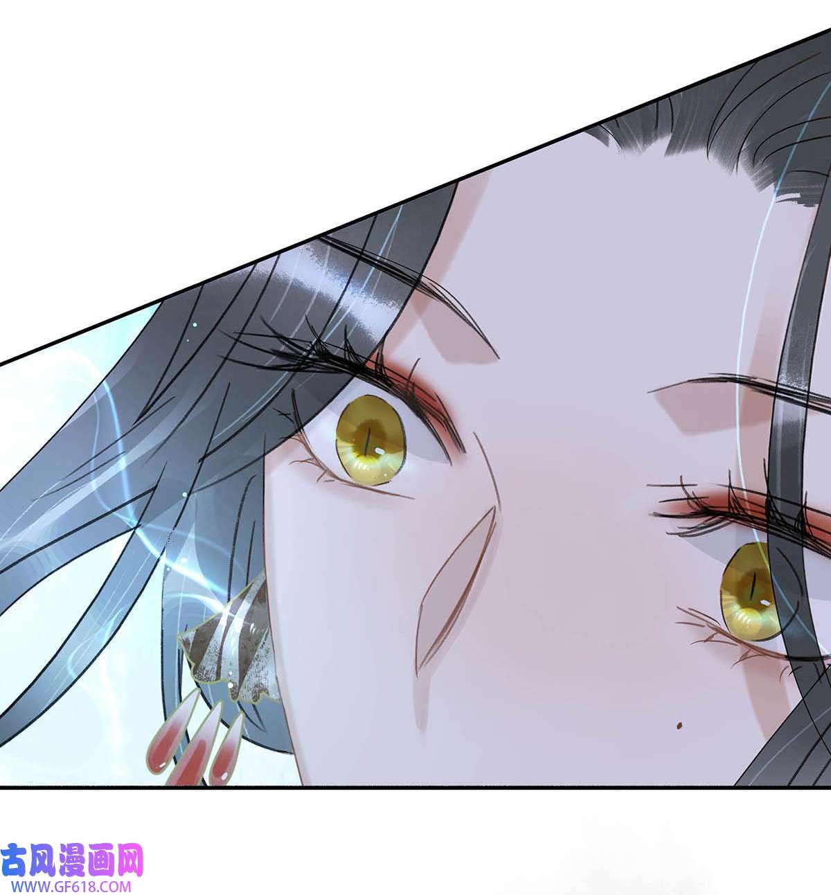46.jpg