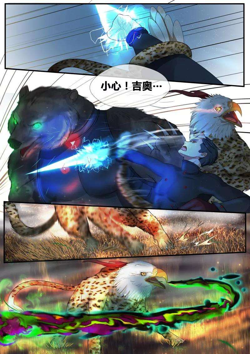 4.jpg