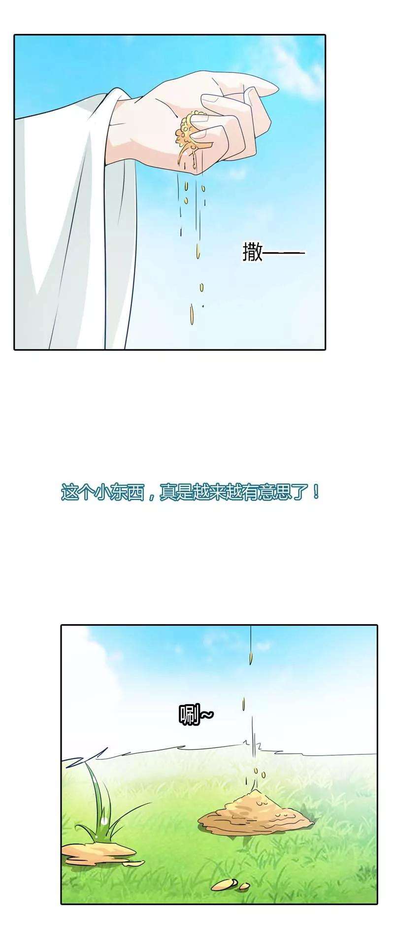 7.jpg