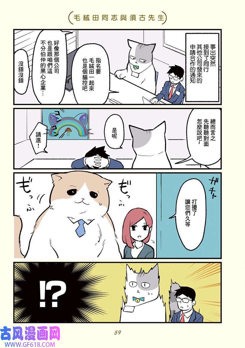 5.jpg
