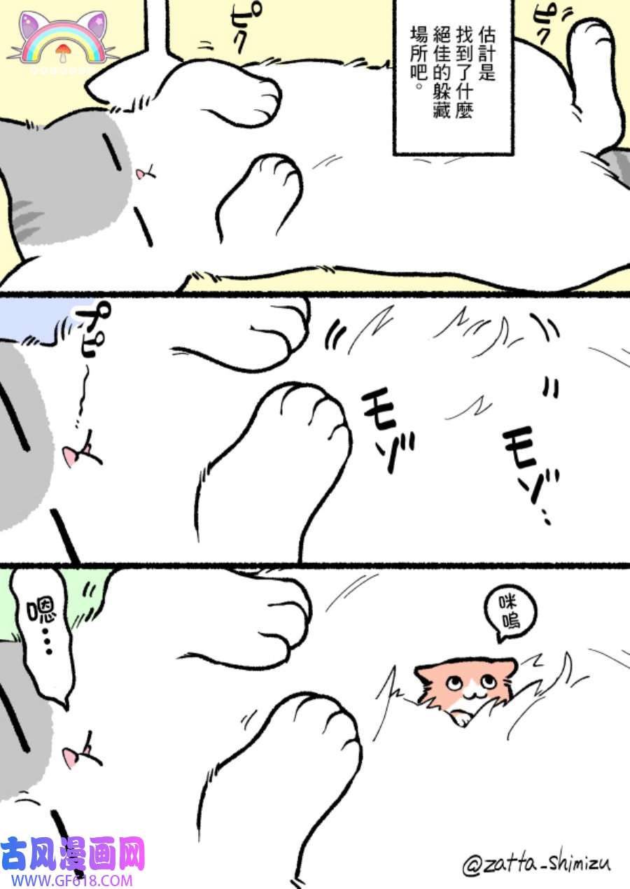 4.jpg