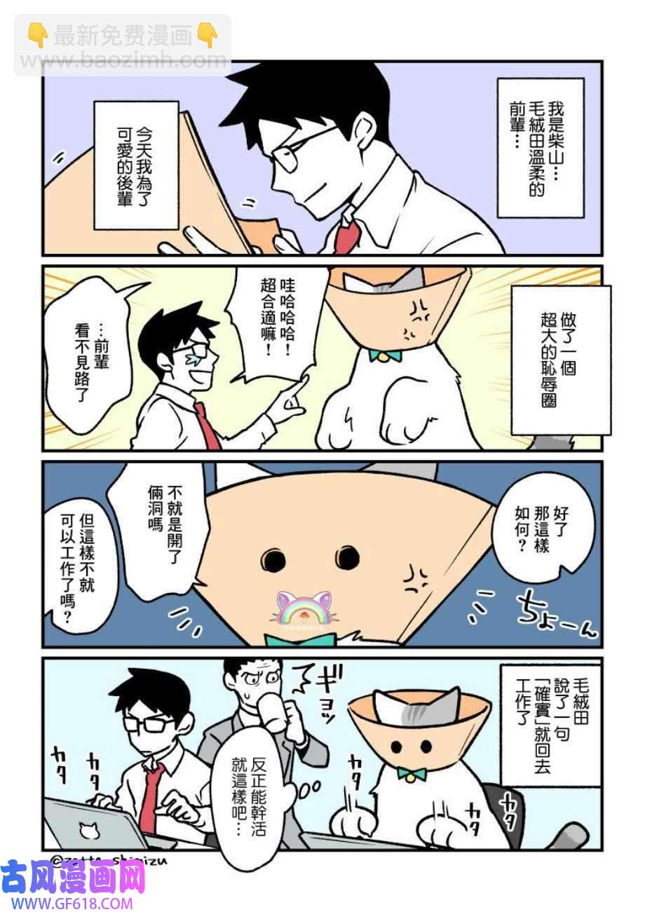 6.jpg