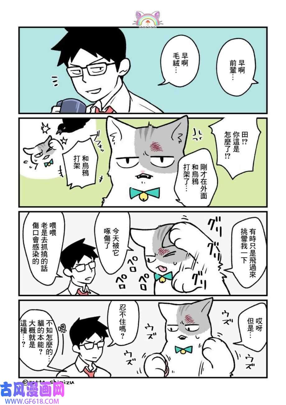 5.jpg