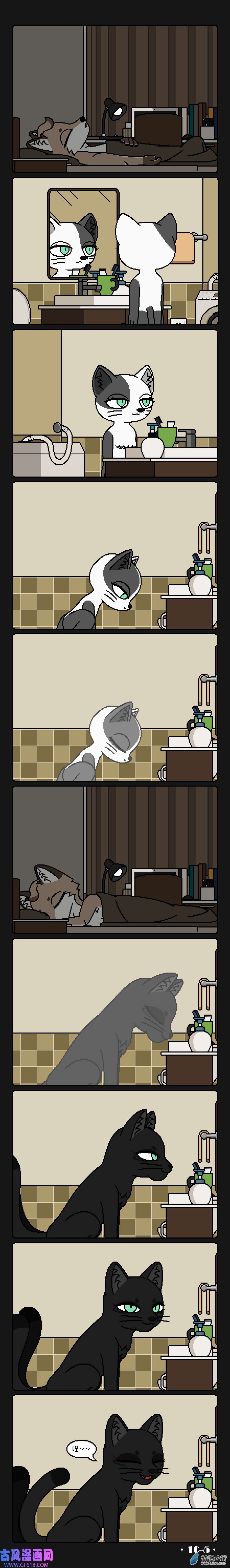5.jpg