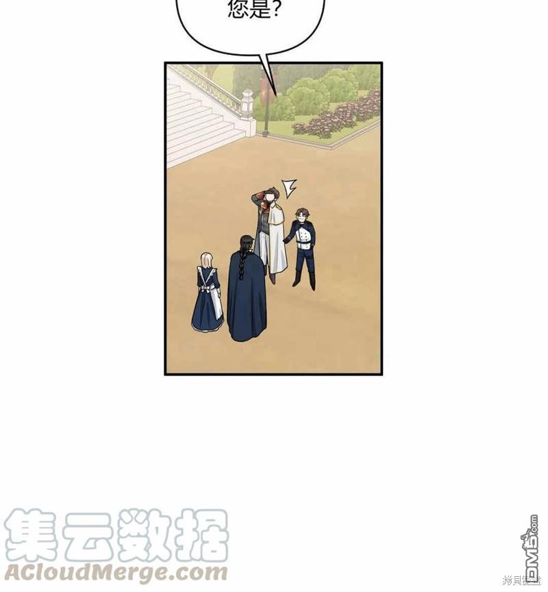 81.jpg