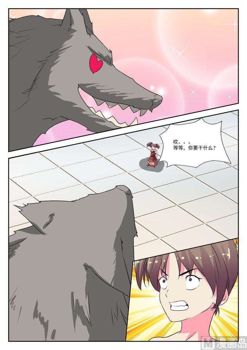6.jpg