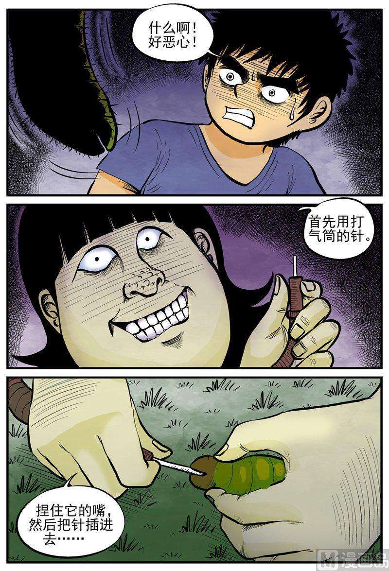 20.jpg