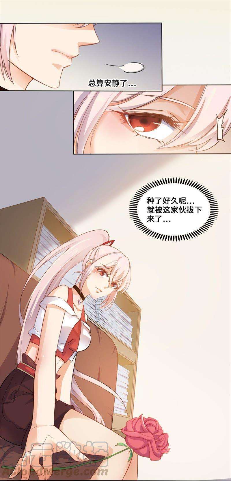 13.jpg