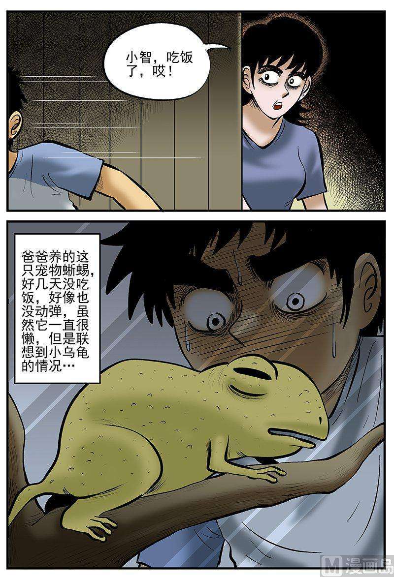 15.jpg