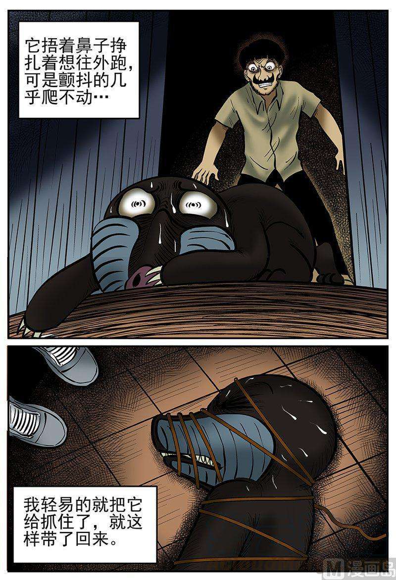 13.jpg