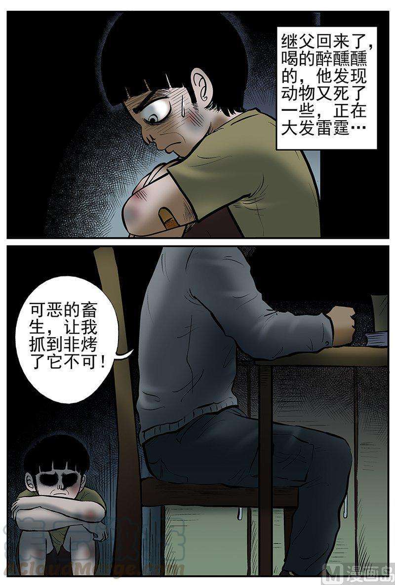 13.jpg