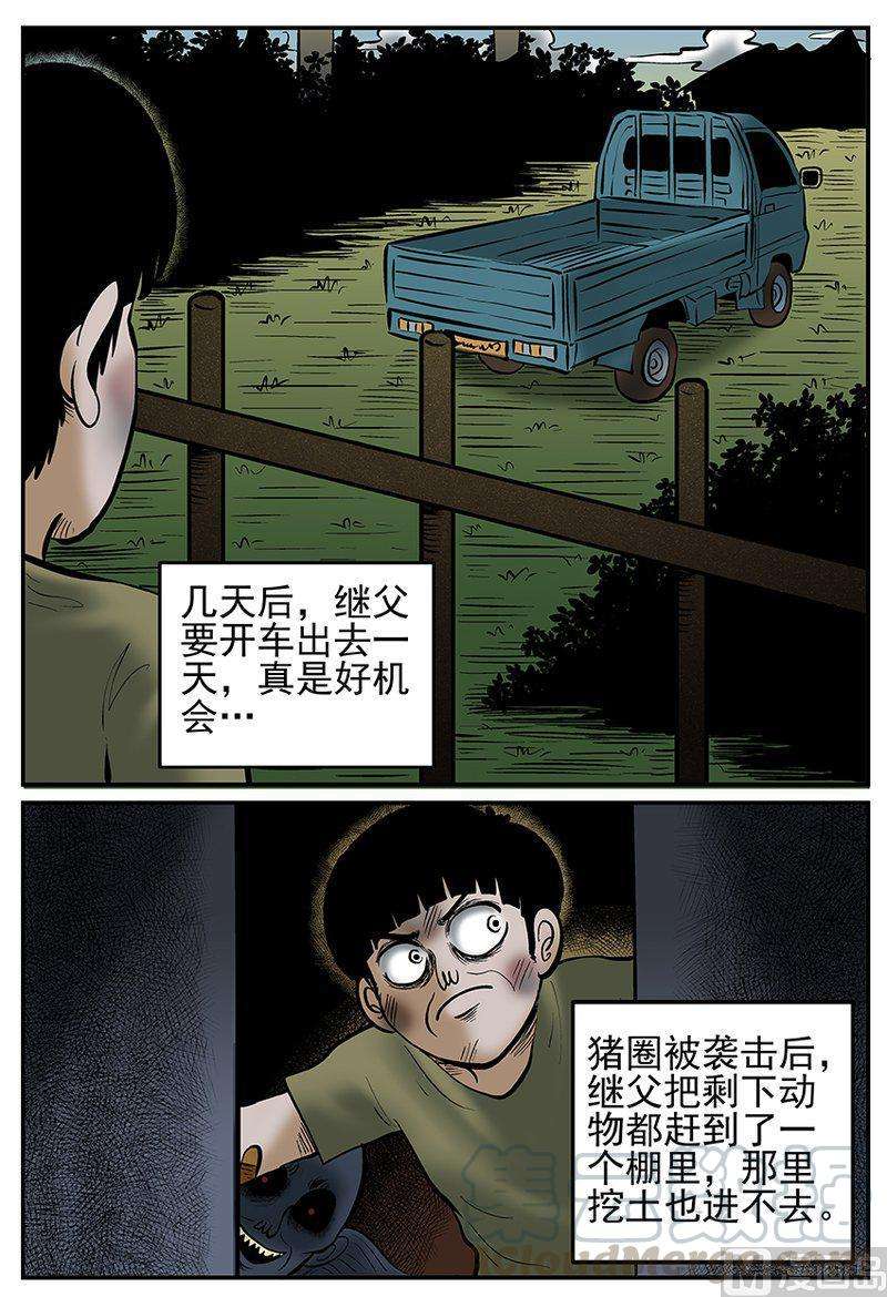 11.jpg