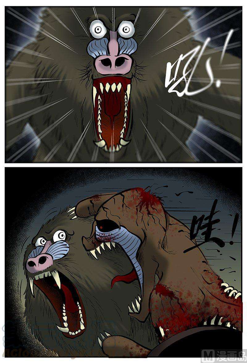 13.jpg
