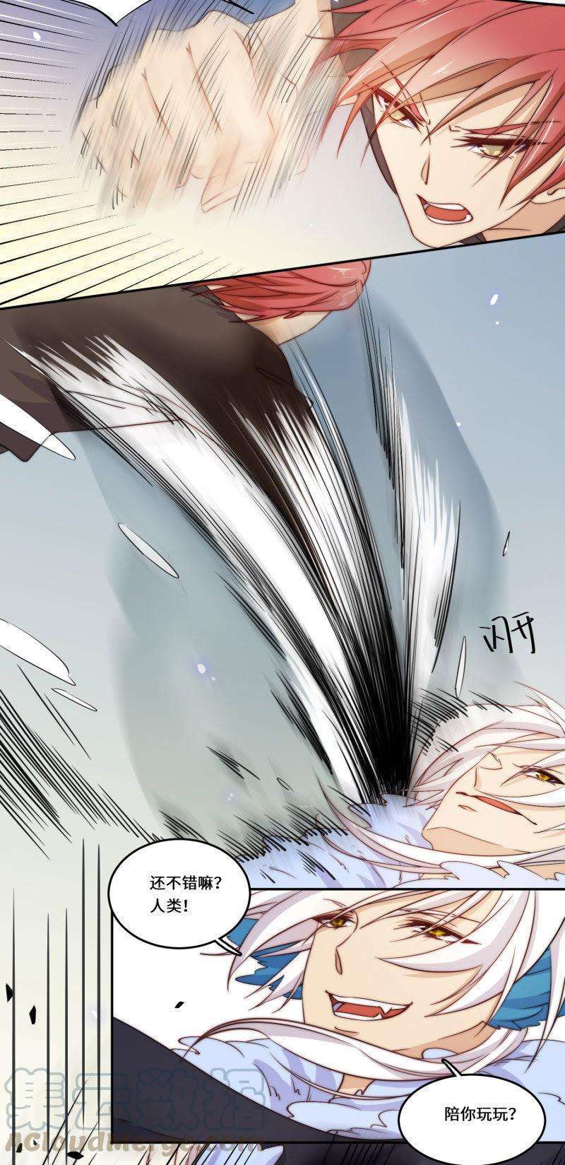 16.jpg