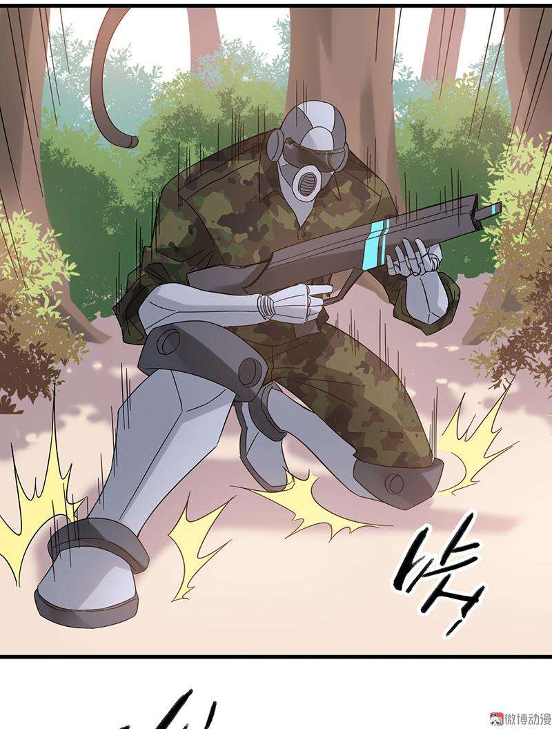 17.jpg