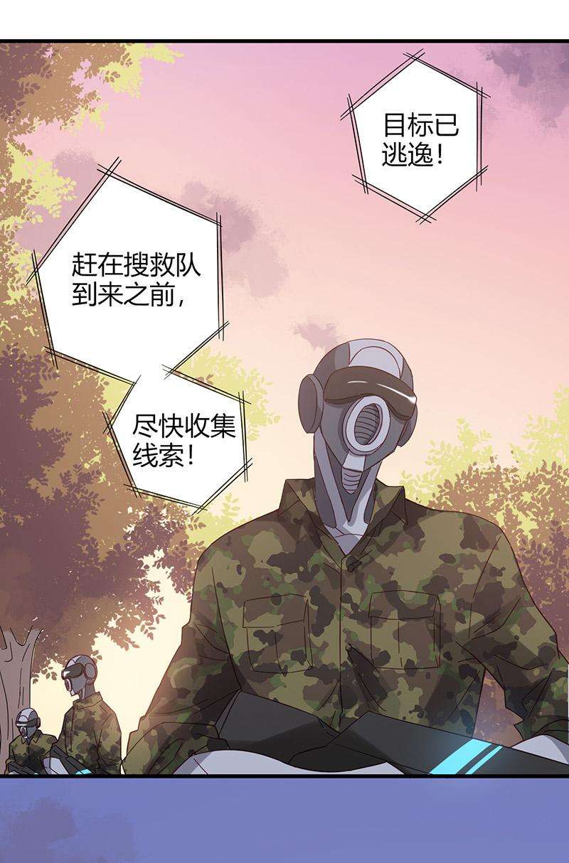 19.jpg