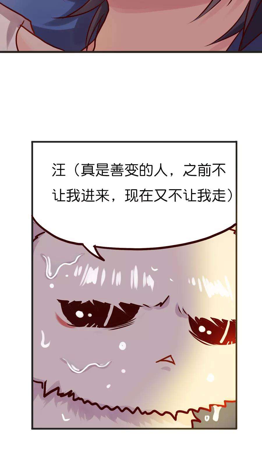 21.jpg