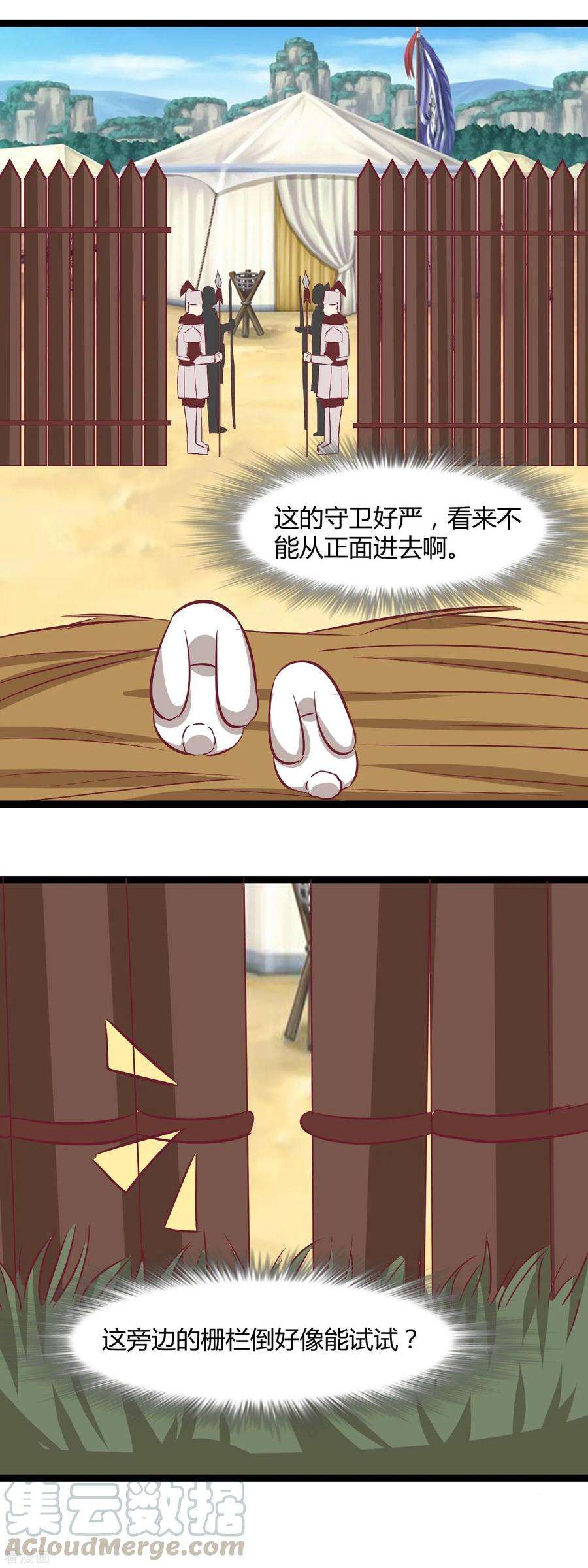 15.jpg