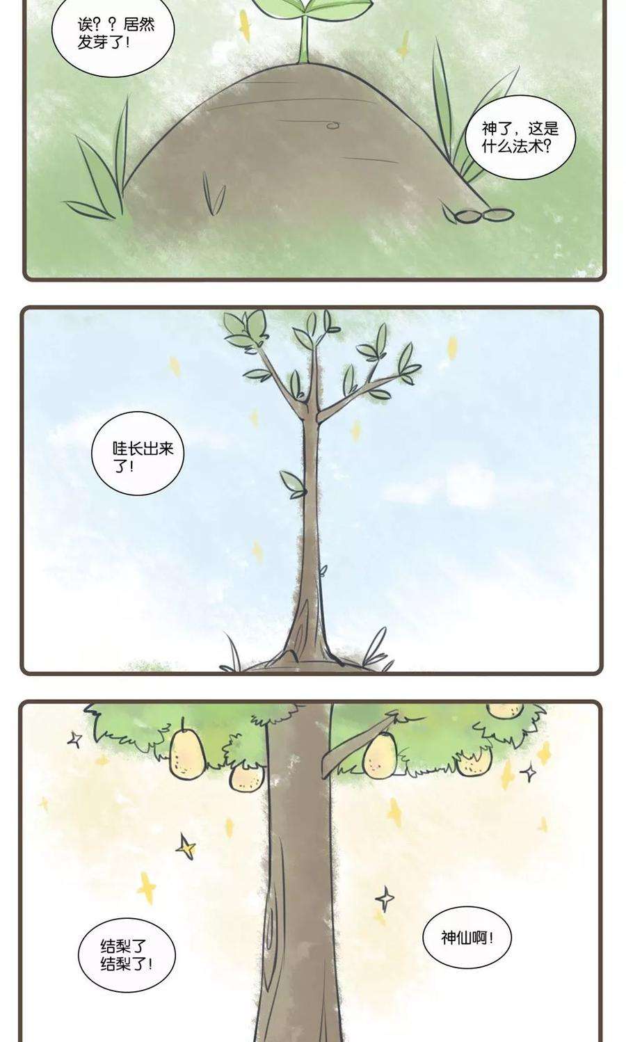 16.jpg