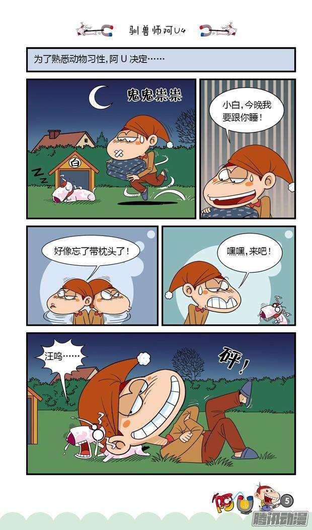 5.jpg