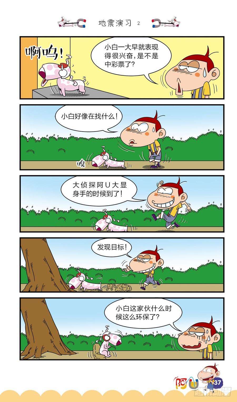 5.jpg