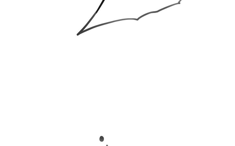 85.jpg