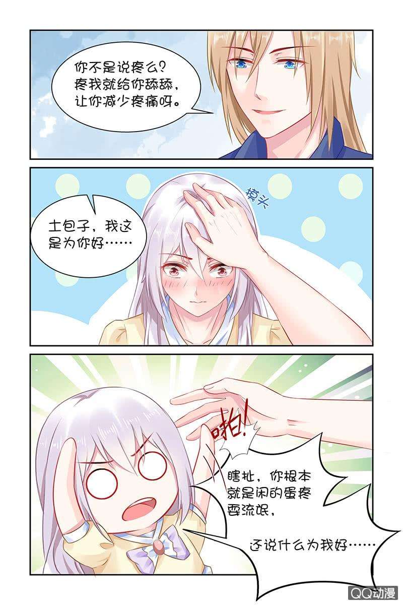 5.jpg